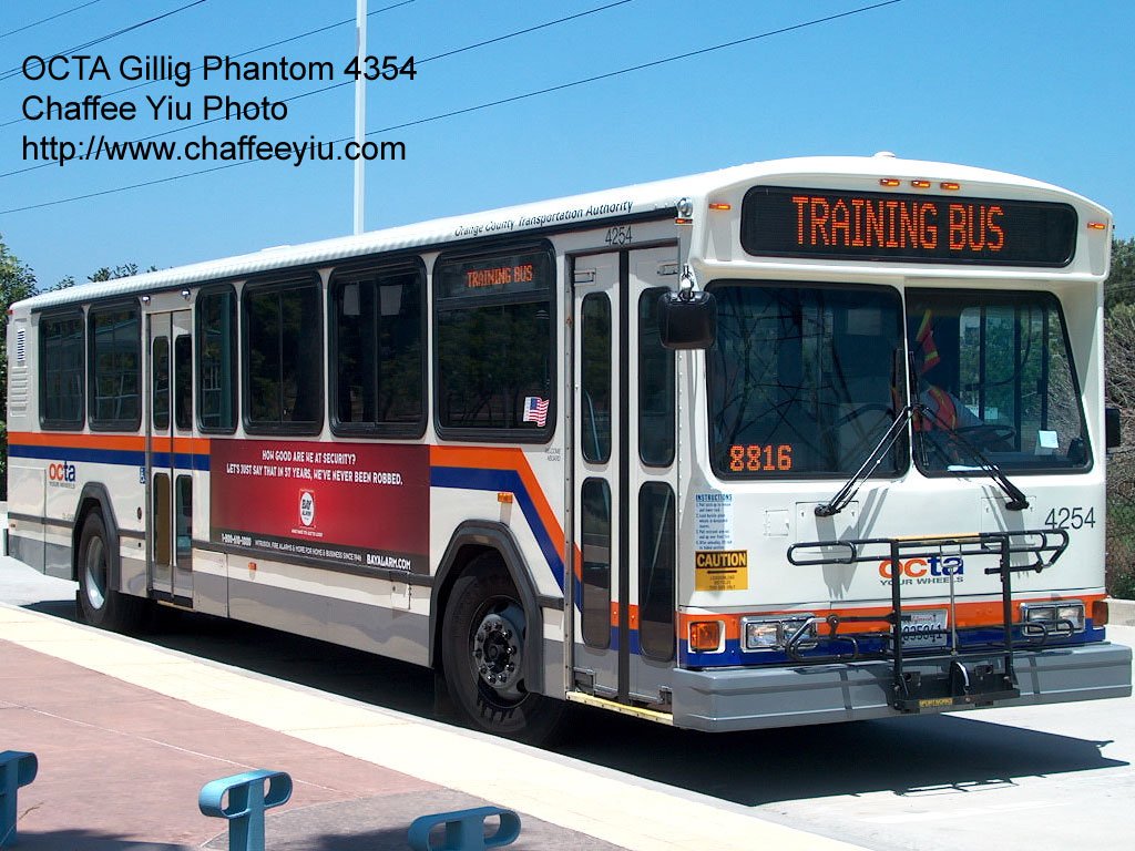 octa42541.jpg