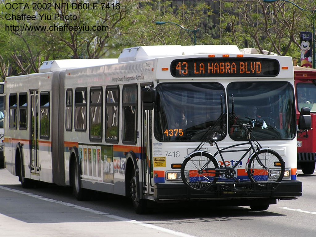 octa741643.jpg