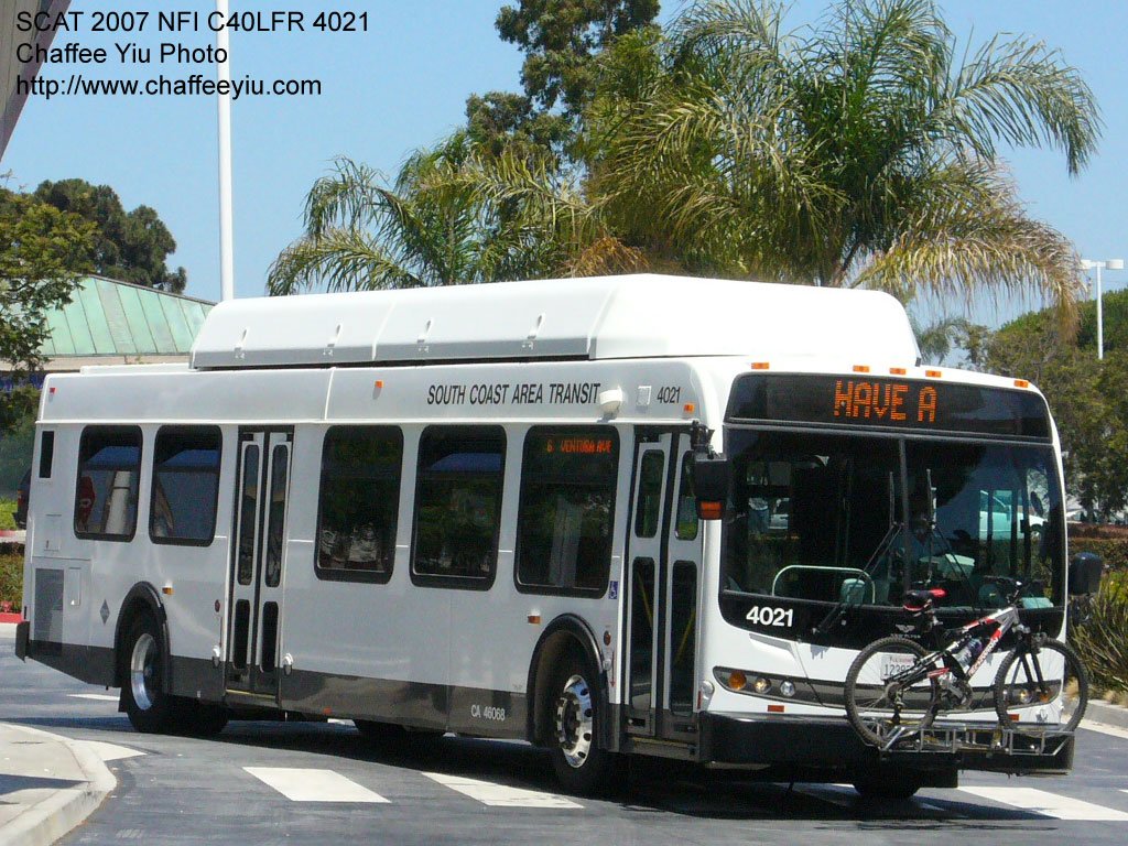 scat4021.jpg