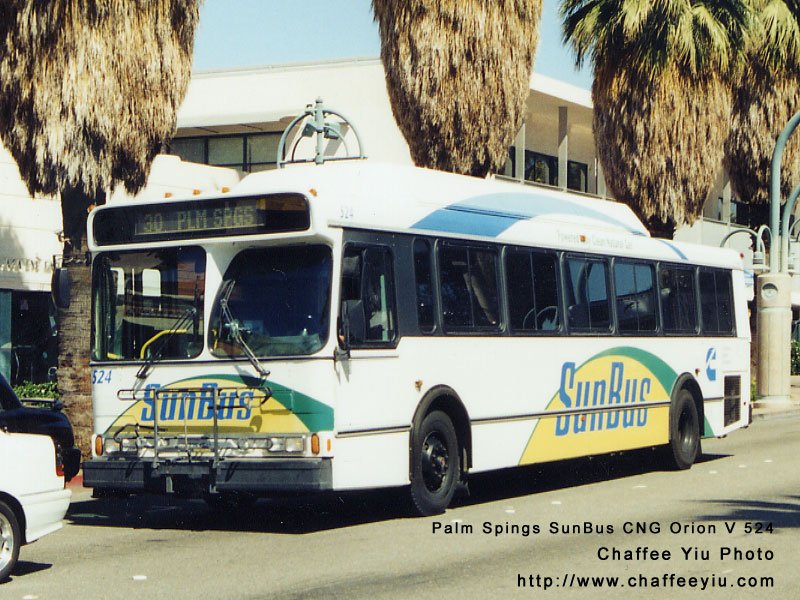sun52430.jpg