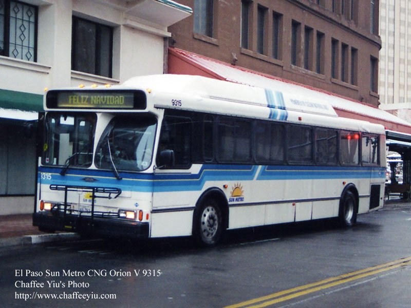 sun9315.jpg