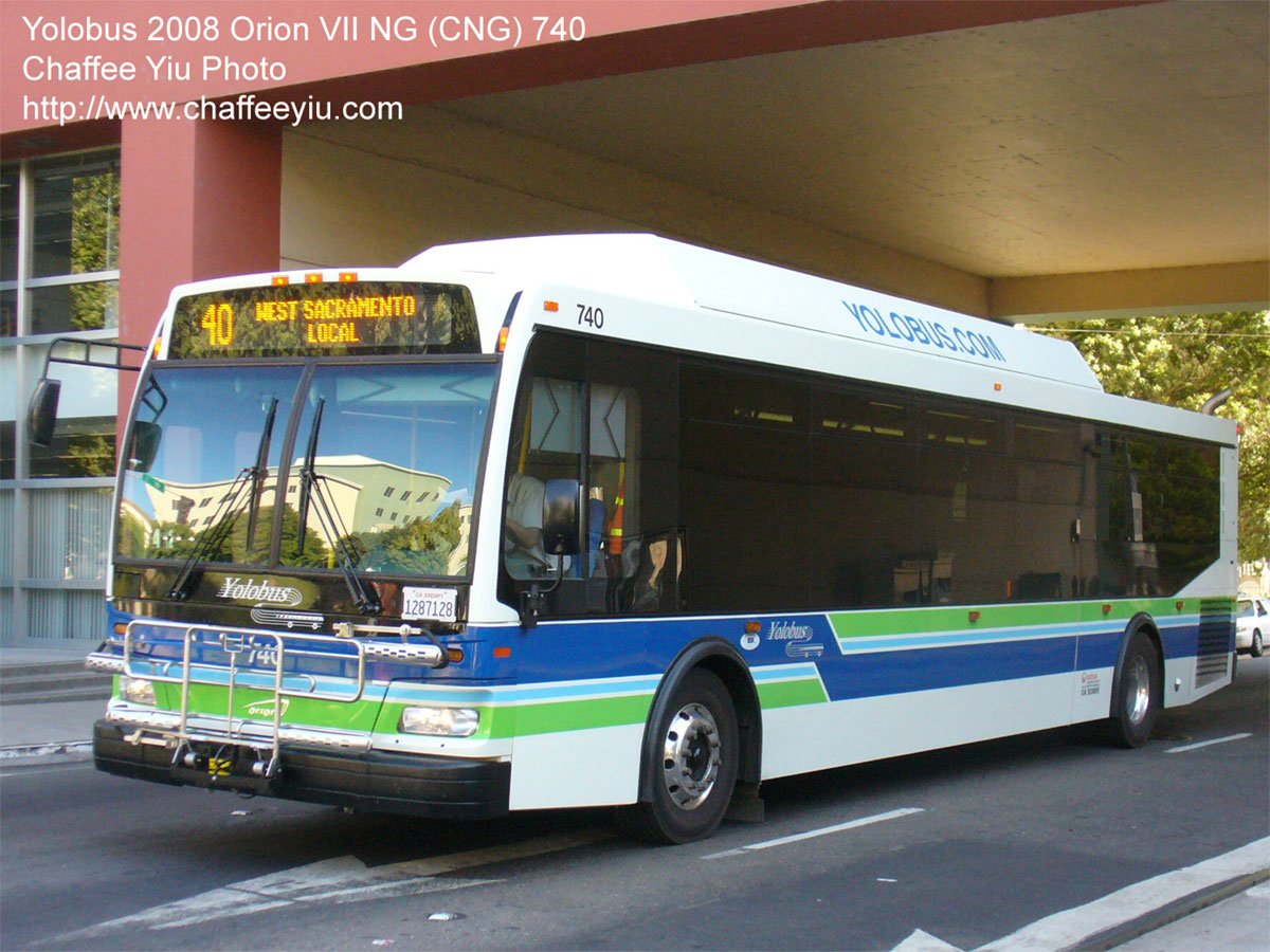 yolobus740.jpg